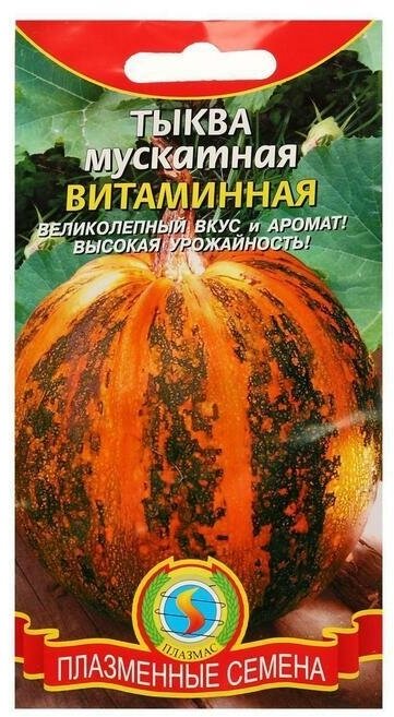 Семена Тыква мускатная 'Витаминная' 10 шт