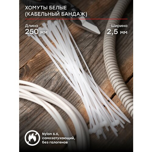 Хомут нейлоновый 25х250 100шт EKF Basic 210₽