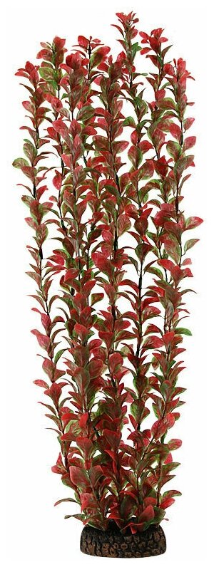 Растение "Людвигия" красная, 500мм, 1шт