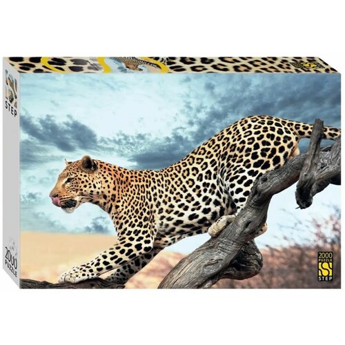 Пазл Леопард в дикой природе, 2000 деталей / Step Puzzle
