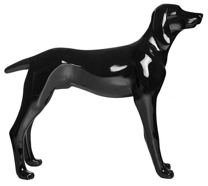 AFELLOW Манекен собаки "Курцхаар", чёрный, 84х21х74см - фото №5