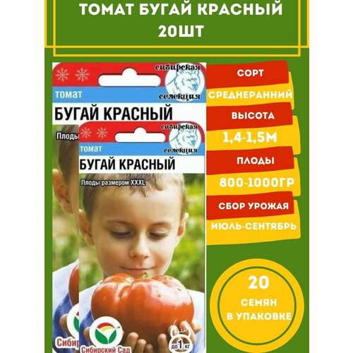 Томат Бугай красный 20 семян 2 упаковки осмосис джонс бугай 2 dvd