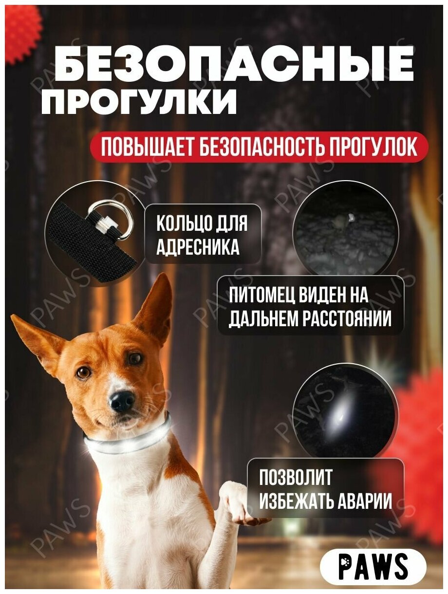 Ошейник светящийся для собак мелких пород, щенков и кошек / черный S 35-40 см - фотография № 2