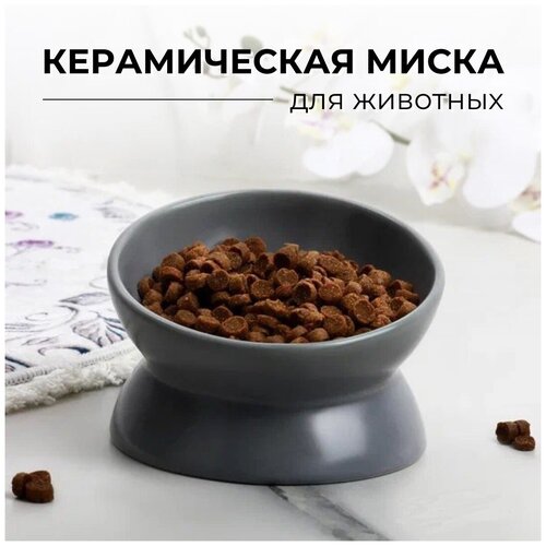 Миска для кошек и собак керамическая с наклоном одинарная (серая)