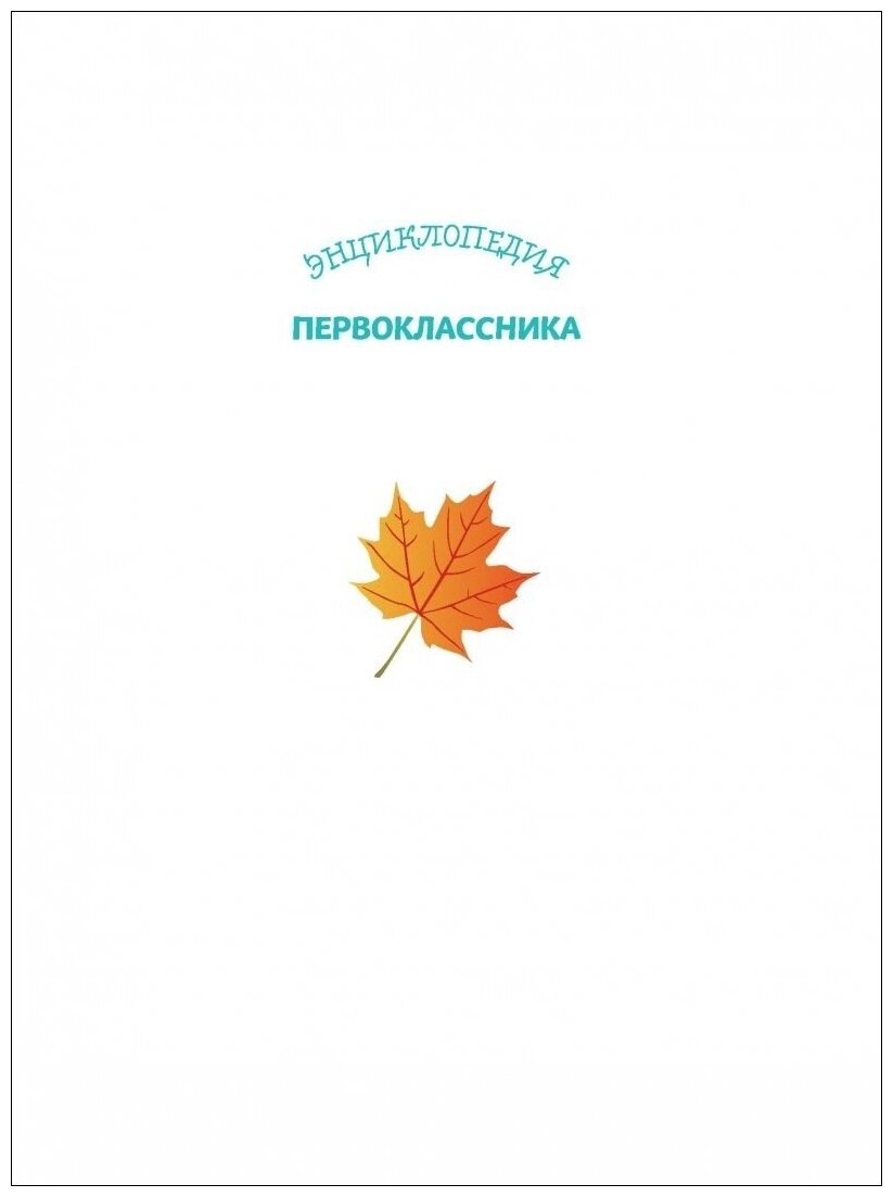 Энциклопедия первоклассника (Голубева Э.Л.; Свербута А.В.; Сичкарь А.Н.) - фото №2