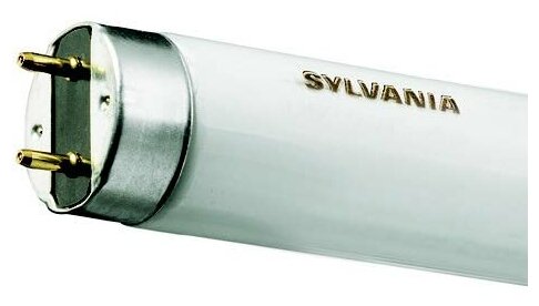 F 15W/ 840 SYLVANIA G13 D26mm 438mm (холодный белый 4000 K) - лампа