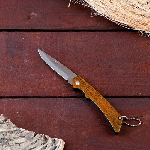 фото Нож складной "спартак" 16,3см, клинок 69мм/1,2мм, микс