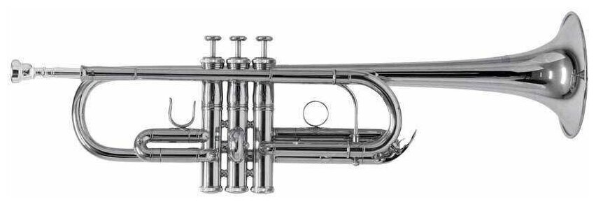 Труба Roy Benson TR-402CS — фото 1