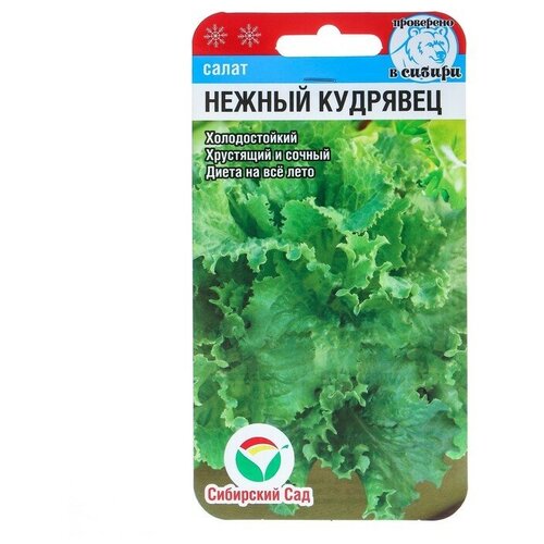 Семена Салат Нежный кудрявец, 1 г салат нежный 1 кг