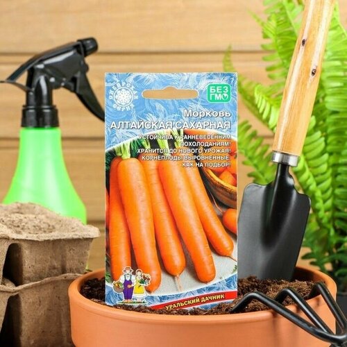 Семена Морковь Алтайская Сахарная позднеспелый, холодостойкий сорт для хранения 1,5 г 10 упаковок