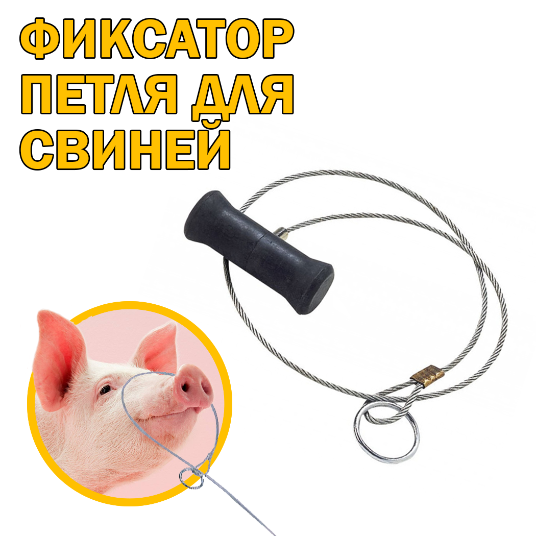 Петля - фиксатор для усмирения свиней и хряков, 80-90 см, оснащена кольцом для привязи