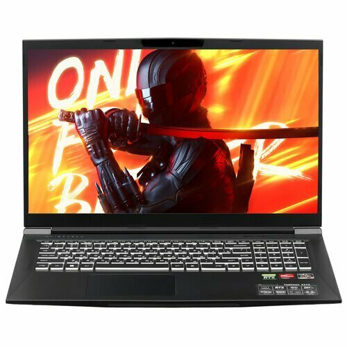 173 Ноутбук MAIBENBEN X17A черный 90009₽