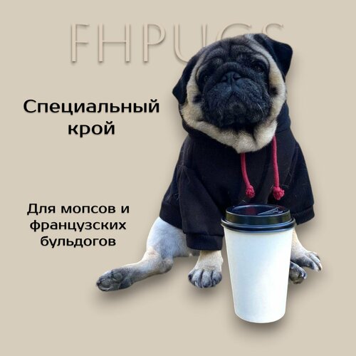 Толстовка-худи для собак, размер M, для мопсов и французских бульдогов, черный, с капюшоном