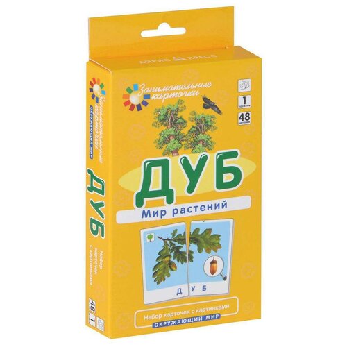 Книга Айрис-пресс Занимательные карточки. Дуб. Мир растений, 14х24 см занимательные карточки дуб мир растений гончарова е м