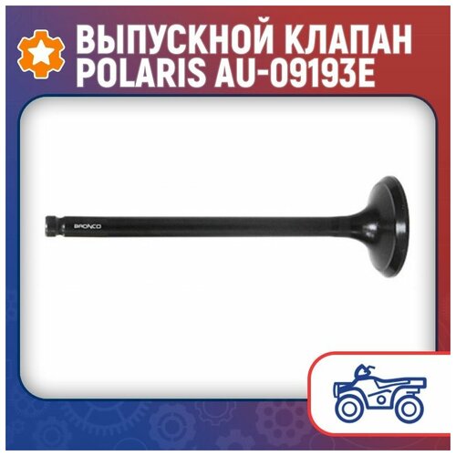 Выпускной клапан Polaris AU-09193E