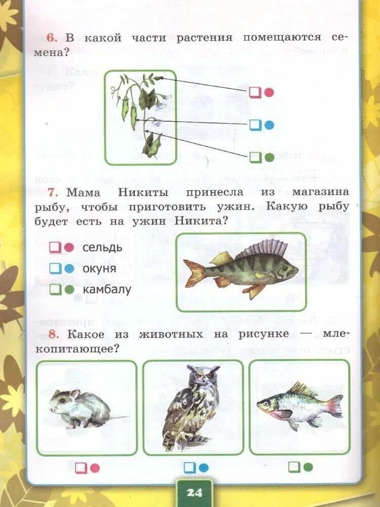 Окружающий мир. Рабочая тетрадь 1. 1 класс. К учебнику А. А. Плешакова "Окружающий мир. 1 кл. - фото №6