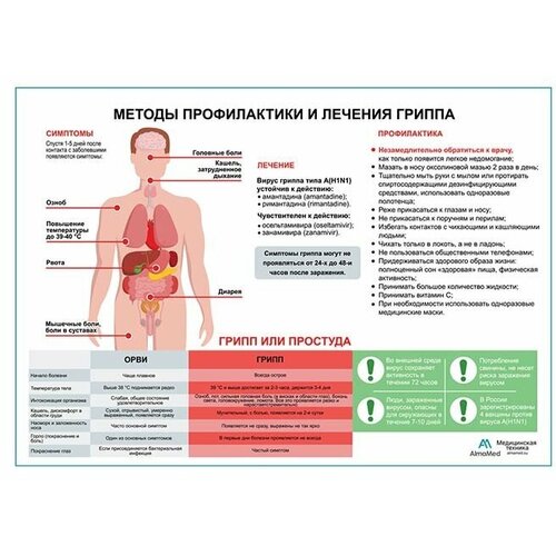 Грипп (горизонтальный), плакат, глянцевая фотобумага от 200 г/кв. м, размер A1+