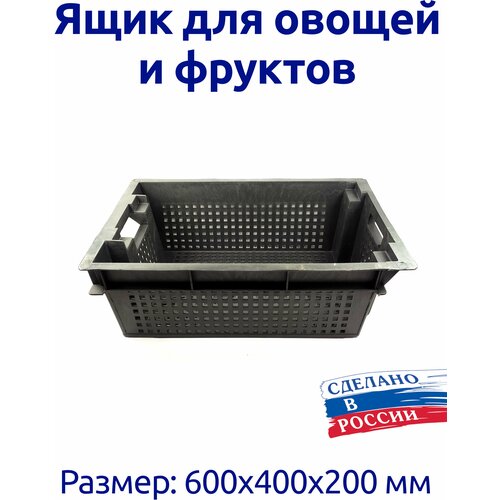 Ящик овощной для овощей и фруктов 600х400х200 1321₽