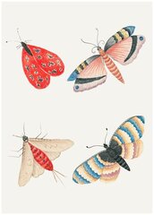 Постер / Плакат / Картина Бабочки - Полёт нежных бабочек 40х50 см в подарочном тубусе