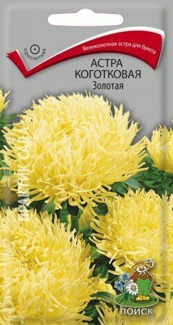 Астра коготковая Золотая 03гр. (Поиск)