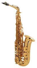 Саксофон-альт Selmer Jubilee SA80II GG S2313020076