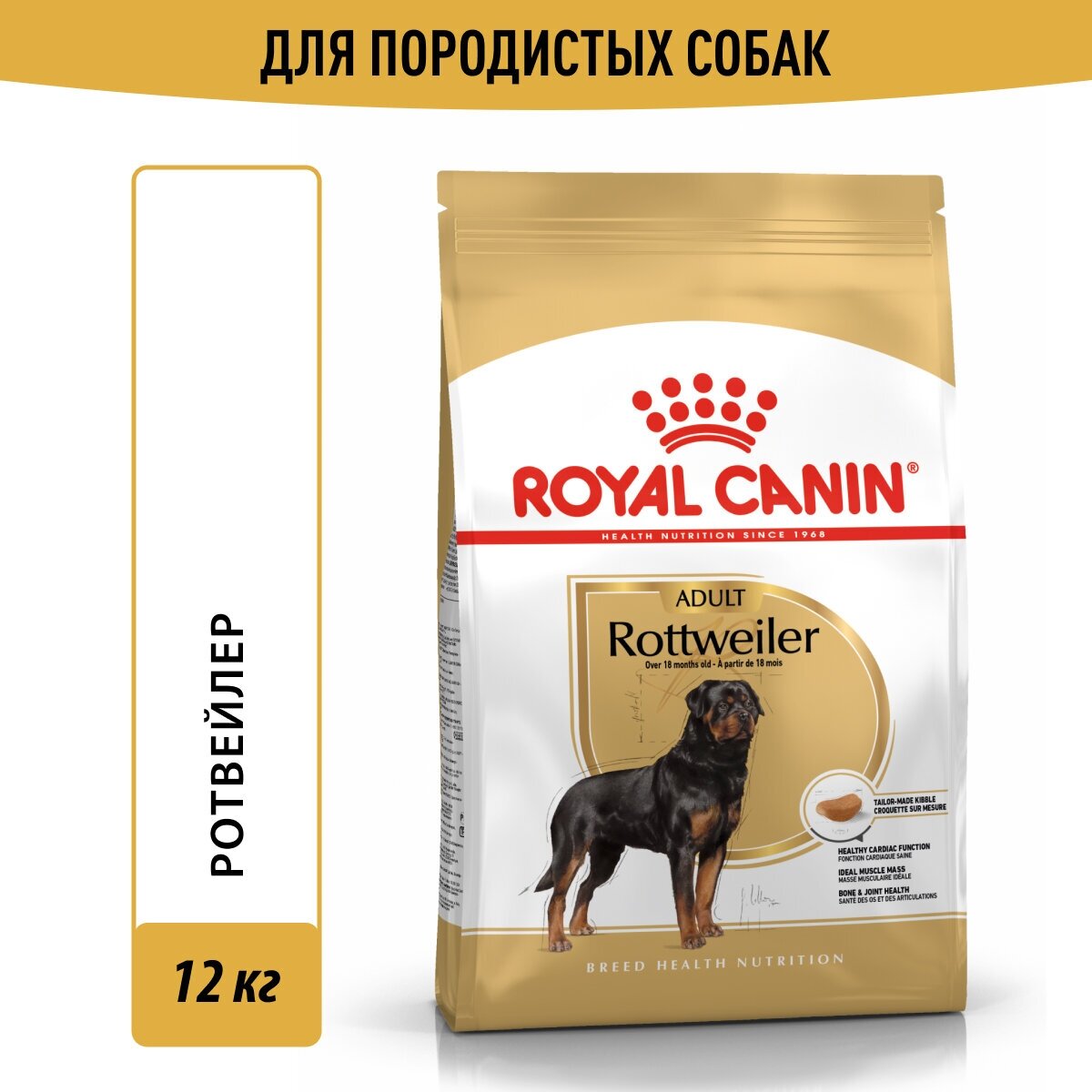 Rottweiler Adult