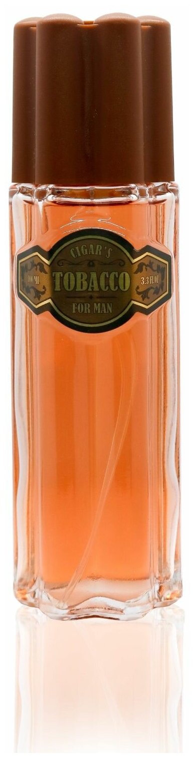 Туалетная вода мужская Дельта Парфюм Cigar's Tobacco, 100 мл - фото №4