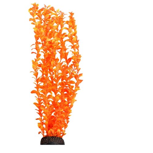 Растение Людвигия ярко-оранжевая, 500мм, 2 шт.