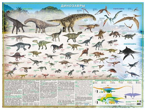 Плакат РУЗ Ко Динозавры. Настольное издание, 2 шт.