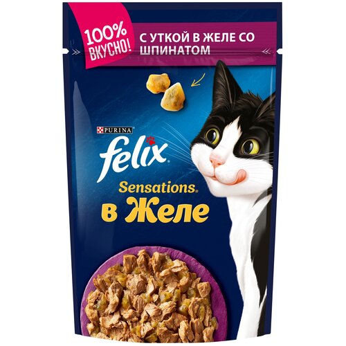 Felix Паучи Sensations кусочки в желе для кошек с уткой и шпинатом 123189631244964912493534 0,085 кг 24144 (2 шт)
