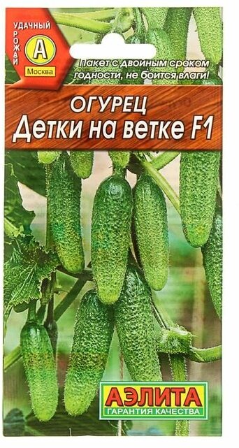 Семена огурца "Детки на ветке", F1, 10 шт.