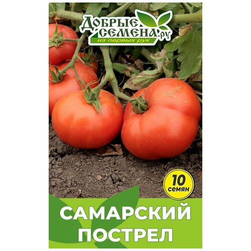 Семена томата Самарский Пострел - 10 шт - Добрые Семена. ру семена томата гаргамел 10 шт добрые семена ру