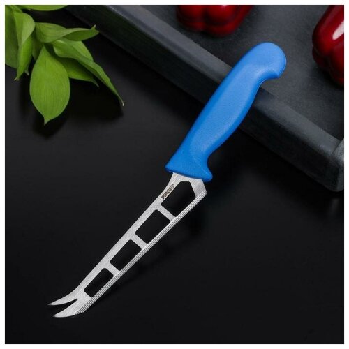 Нож для сыра Sima-land Peynir, 13 см, 30х4х1,5 см, сталь, пластик (82010)