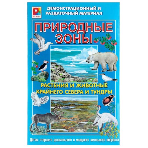 Радуга Природные зоны. Растения и животные Крайнего Севера и тундры, 36х40 см