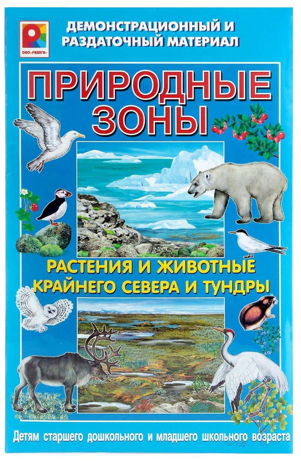 Демонстрационный материал "Растения и животные Арктики и