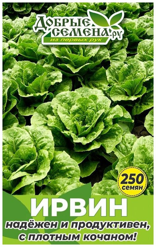 Семена салата Ирвин - 250 шт - Добрые Семена. ру