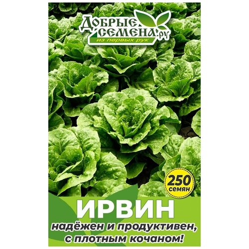 семена салата каббура 250 шт добрые семена ру Семена салата Ирвин - 250 шт - Добрые Семена. ру