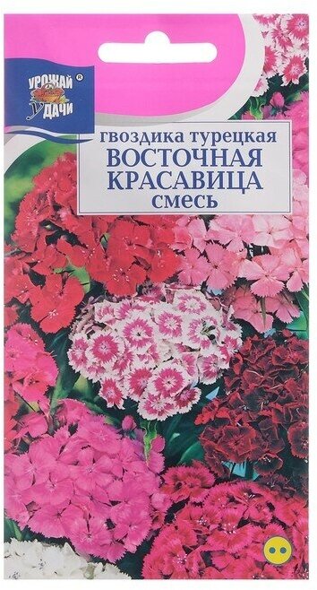 Семена цветов Гвоздика Турецкая "восточная красавица", смесь, 0,2 г .3 уп