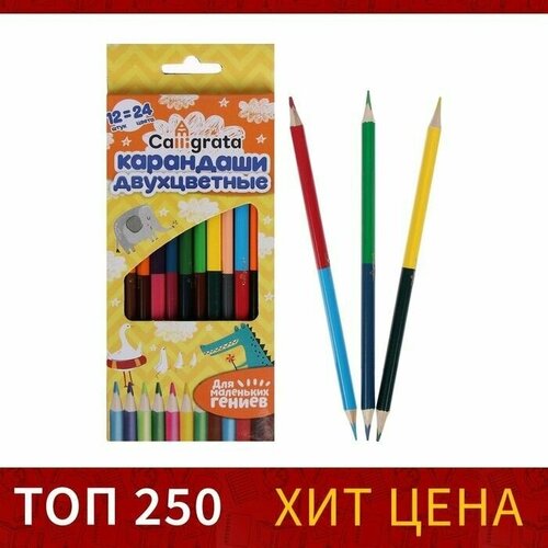 Карандаши двусторонние заточенные 12 штук 24 цвета корпус треугольный деревянный в картонной коробке 353₽