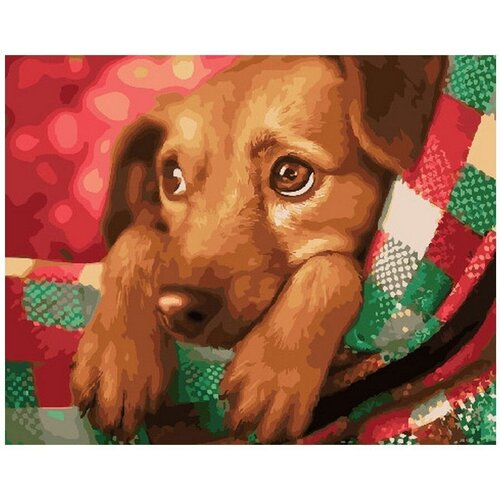 Картина по номерам Грустный взгляд 40х50 см Hobby Home картина по номерам грустный пёс 40х50 см