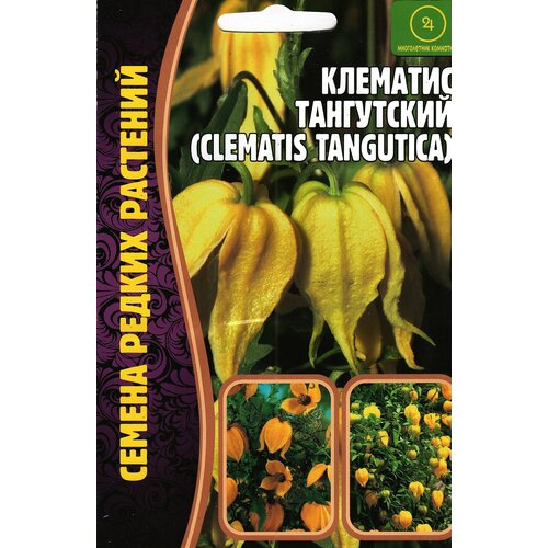Клематис тангутский, clematis tangutica, семена цветов, лиана многолетняя ( 1 уп: 10 семян )