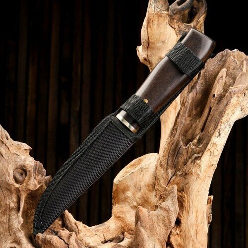 Нож охотничий Йохан, рукоять дерево, лезвие 15 см нож охотничий йохан рукоять дерево лезвие 15 см