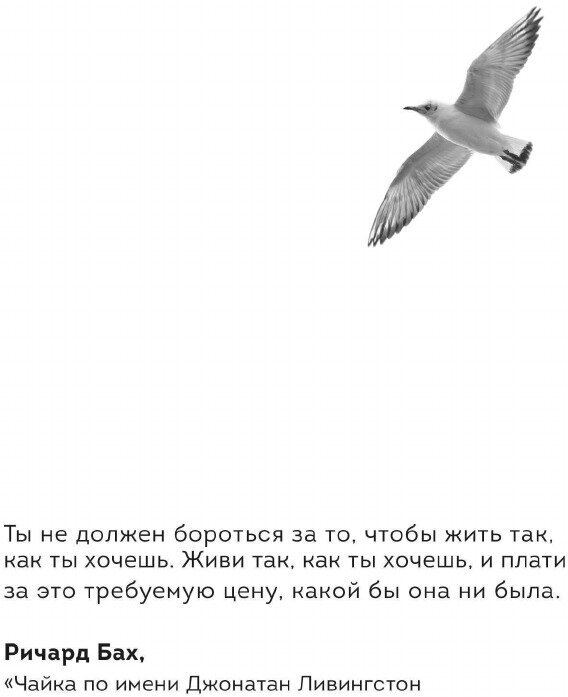 Стратегия жизни. Как спланировать будущее, наполненное смыслом и счастьем - фото №3