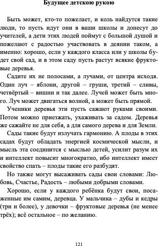 Светлая Русь и ложный образ. Книга шестая - фото №4