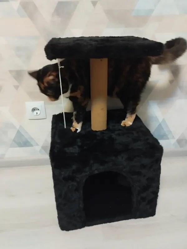 Домик для кошки с когтеточкой комплекс 36*36*62 см