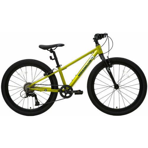 MAXISCOO 5Bike 24 Стандарт 2024 фреш лайм M 36900₽