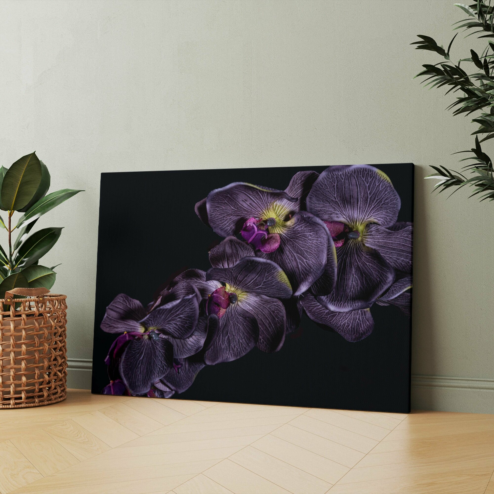 Картина на холсте (орхидея на черном фаленопсис маджента orchid flower фиолетовая) 40x60 см/для интерьера/в комнату/на стену/в подарок