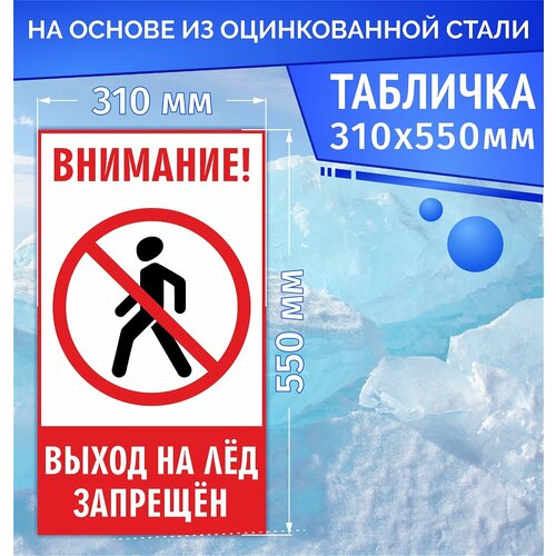 Табличка информационная знак на дверь Выход на лёд запрещен табличка информационная на дверь выход со значком 30х10 см