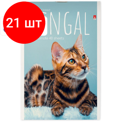 Комплект 21 штук, Блокнот котята А6 40л на скрепке в ассорт 3-40-110 Д блокнот котята а6 40л на скрепке