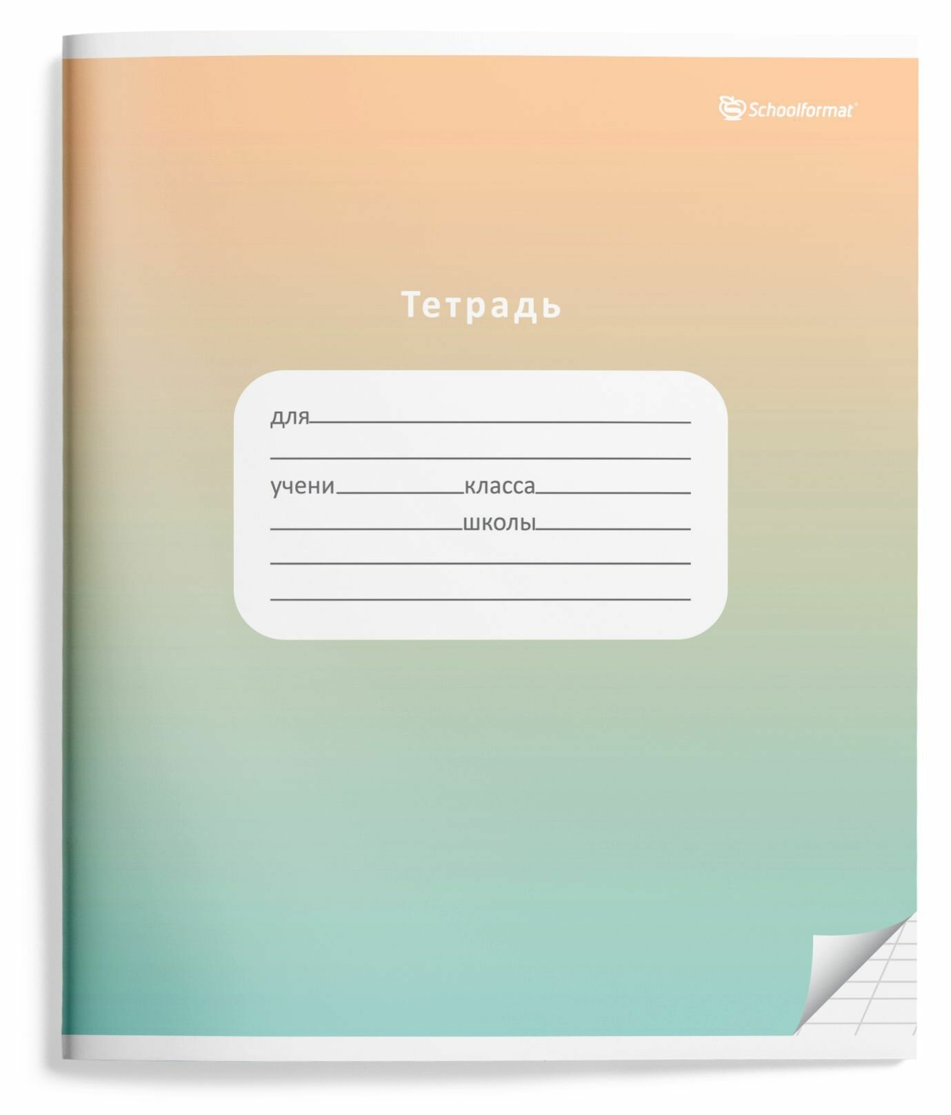 Тетрадь в косую линейку 12 листов, набор 12 штук, А5+, Schoolformat — фото 1